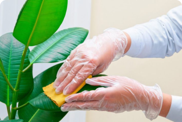 Green Cleaning: Safe and Natural Ways to Clean Your Home